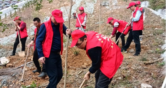 村企共建，共植先锋林