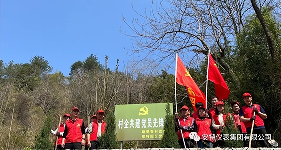 党建强引领，共植先锋林